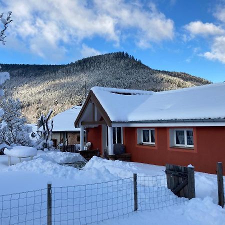 Gîte le Cerf Volant Raon-sur-Plaine Exterior foto
