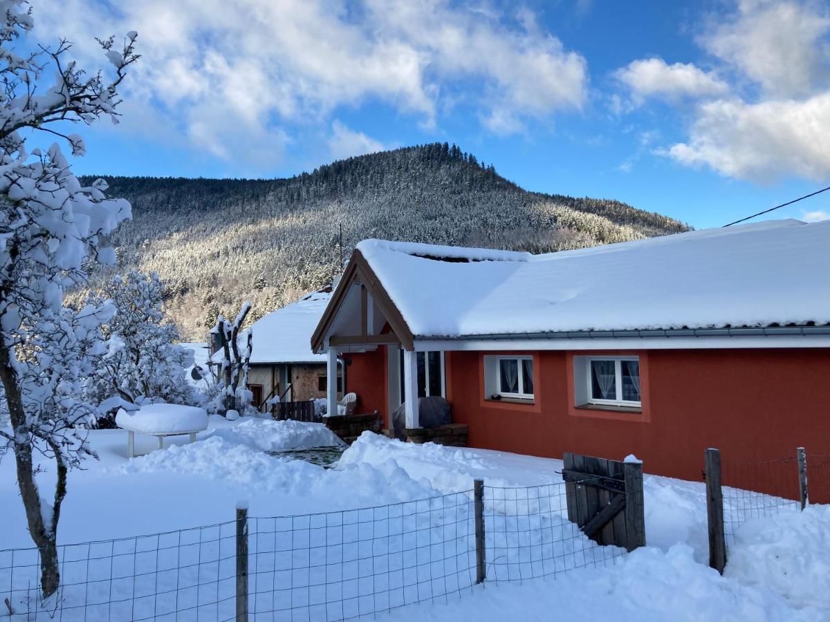 Gîte le Cerf Volant Raon-sur-Plaine Exterior foto